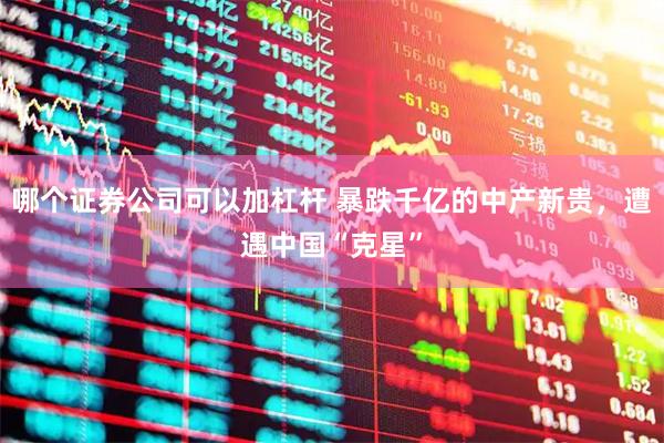 哪个证券公司可以加杠杆 暴跌千亿的中产新贵，遭遇中国“克星”