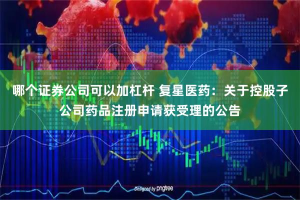 哪个证券公司可以加杠杆 复星医药：关于控股子公司药品注册申请获受理的公告